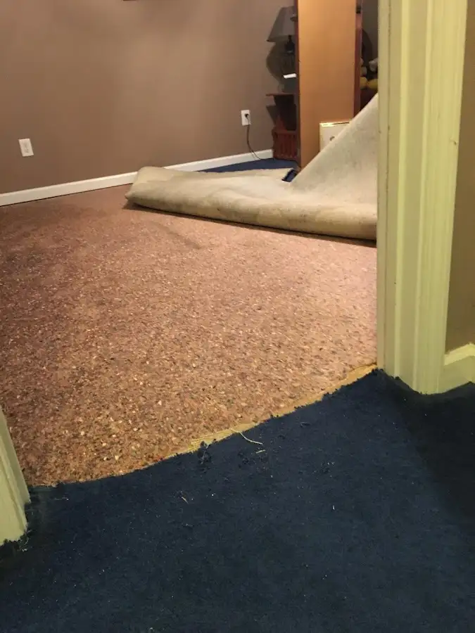 Carpet pad removal revealing water damage during Drying & Dehumidification in Elburn