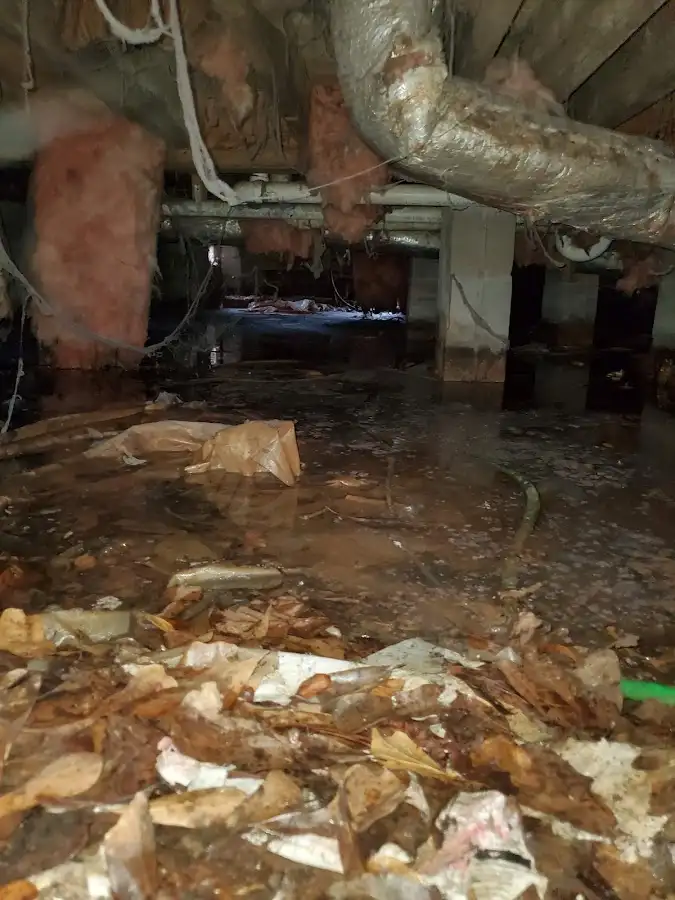 Crawl space flood assessment for Leak Detection & Repair in Elburn
