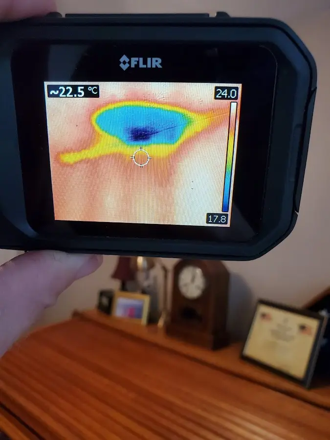 Thermal imaging inspection for water damage in Elburn
