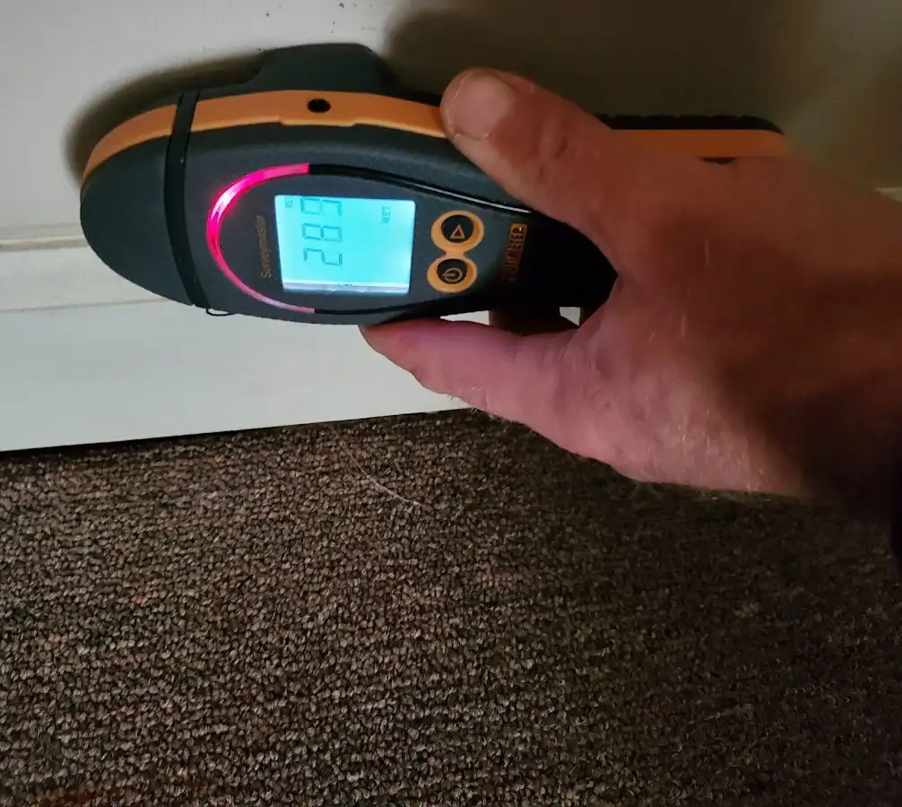 Moisture detection at baseboard during Sewage Cleanup & Sanitation in Elburn